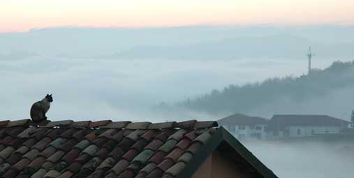 sopra la nebbia